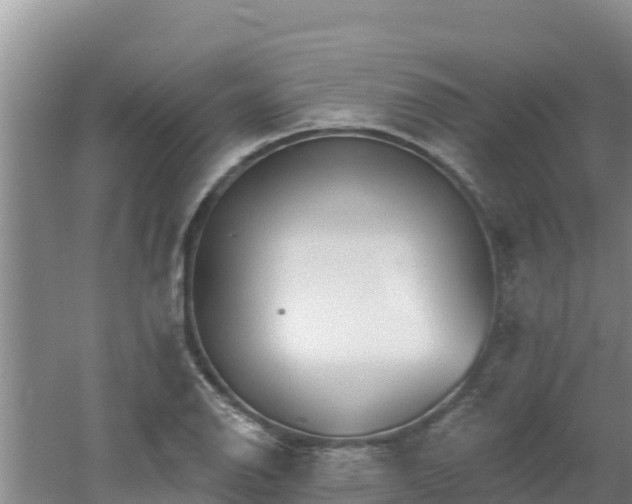 X0000060561126200511101556