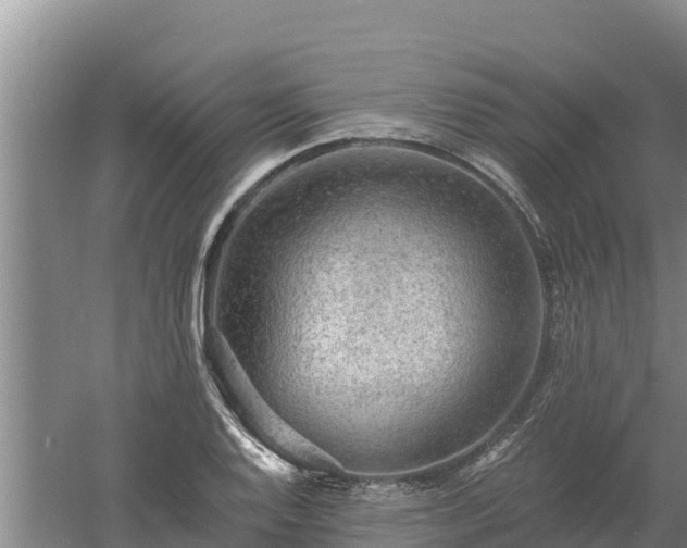 X0000060561128200511101556