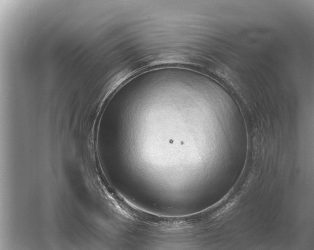 X0000060561129200511101556