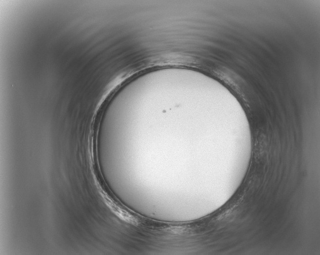 X0000060561130200511101556