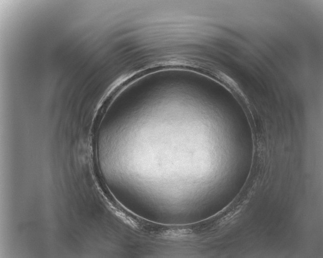 X0000060561133200511101556