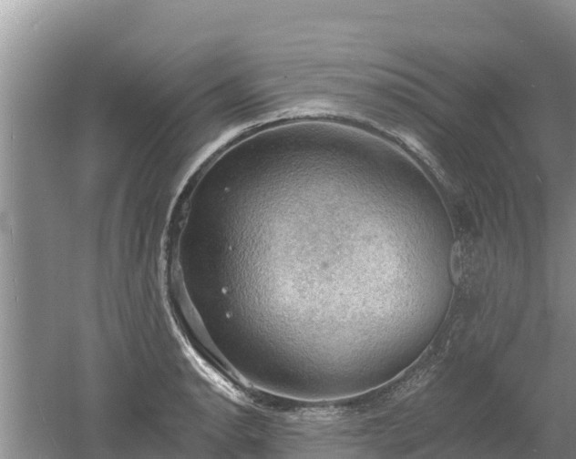 X0000060561134200511101556