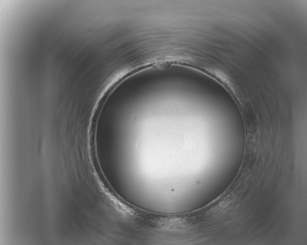 X0000060561135200511101556