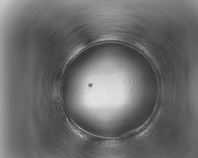 X0000060561137200511101556