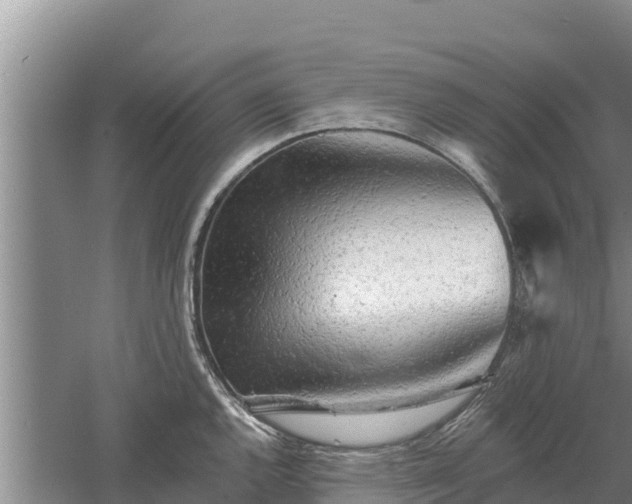 X0000060561144200511101557