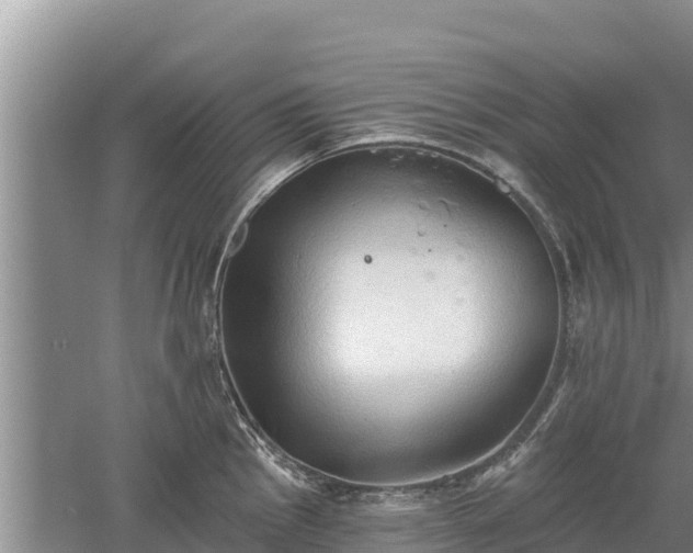 X0000060561145200511101557