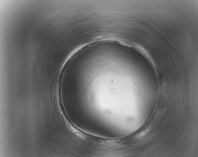 X0000060561149200511101557