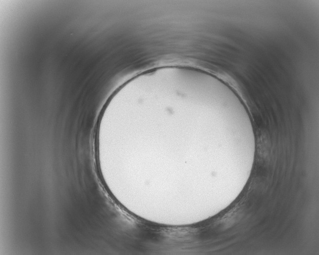 X0000060561150200511101557