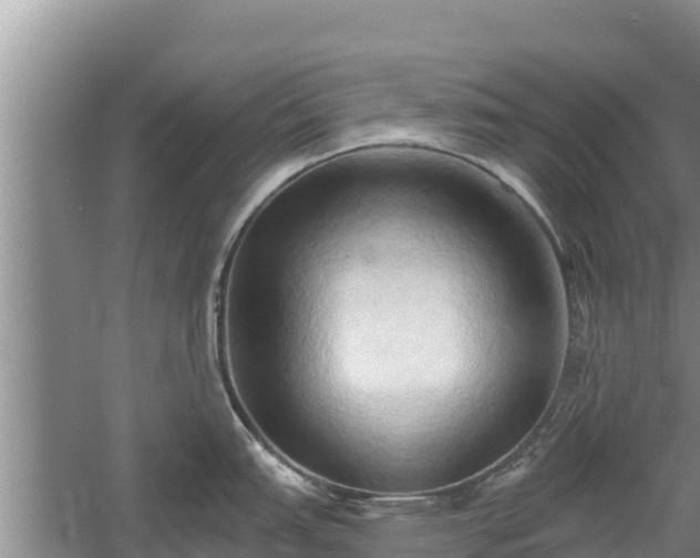 X0000060561151200511101557