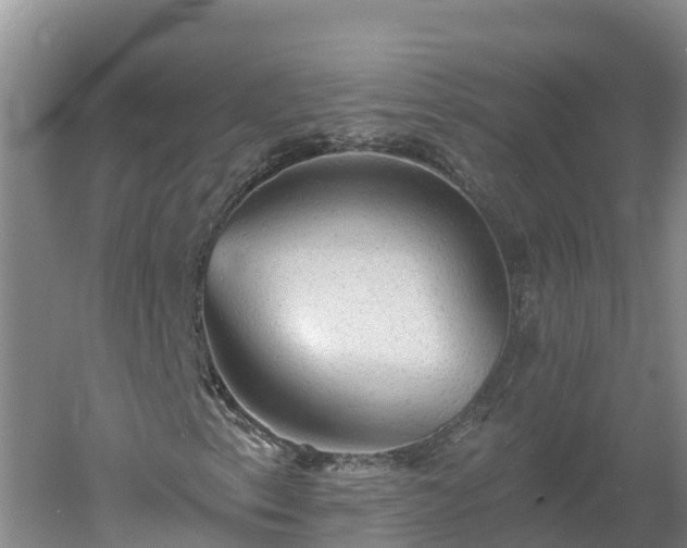 X0000060561153200511101556