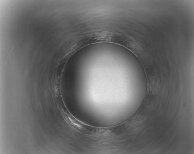 X0000060561154200511101556