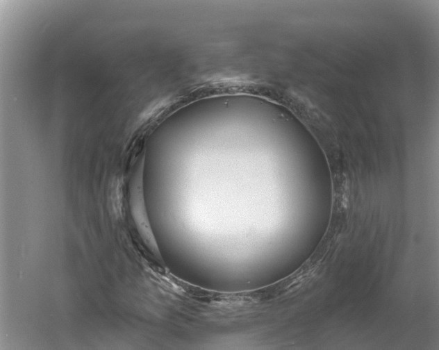 X0000060561157200511101556