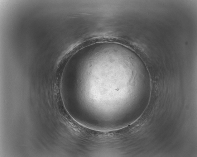 X0000060561159200511101556