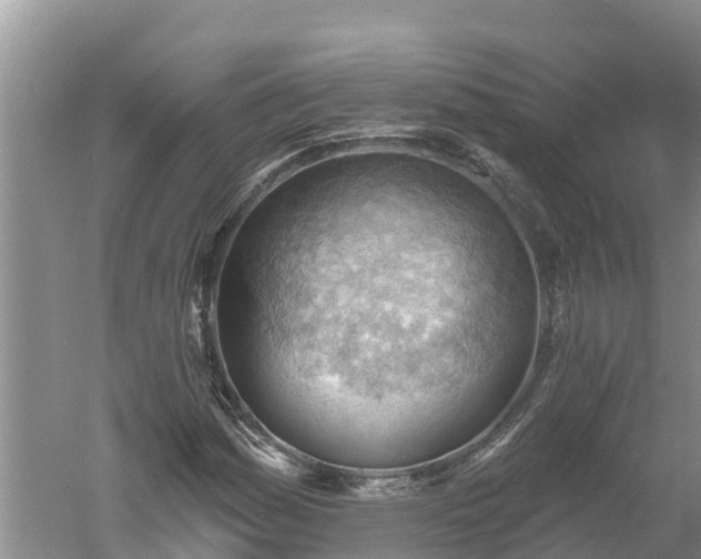 X0000060561161200511101556