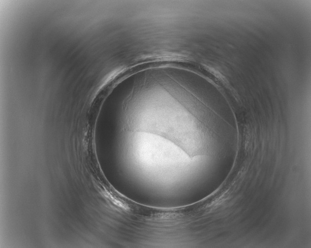 X0000060561163200511101556