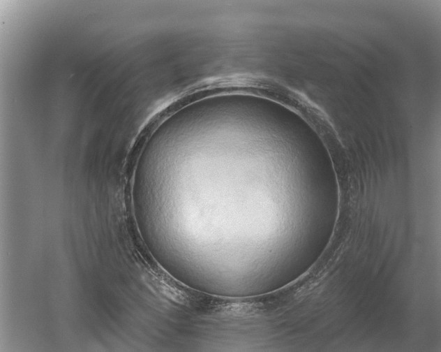 X0000060561166200511101556