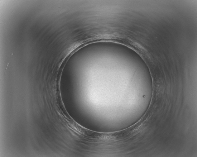 X0000060561170200511101556