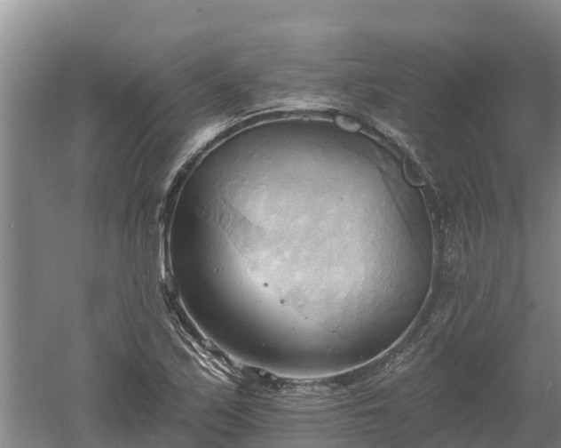 X0000060561171200511101556