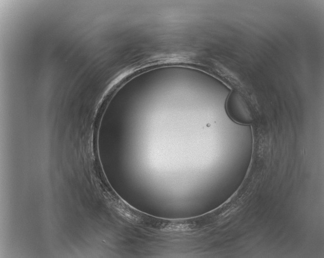 X0000060561174200511101555