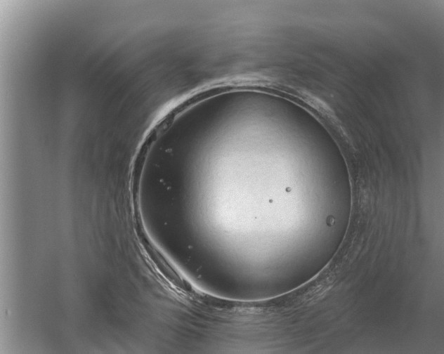 X0000060561176200511101555