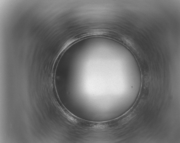 X0000060561178200511101555