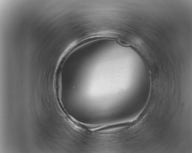 X0000060561180200511101555