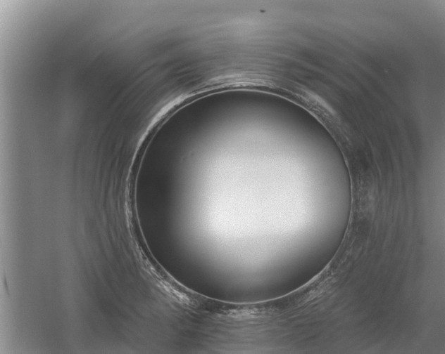 X0000060561182200511101555