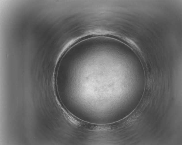 X0000060561183200511101555