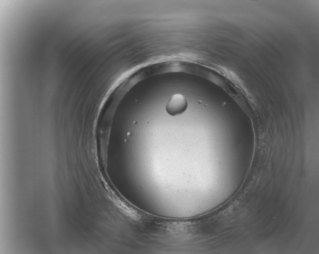 X0000060561184200511101555