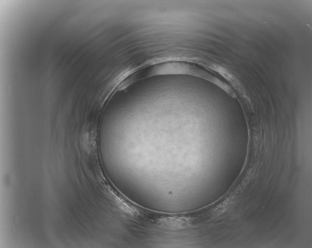 X0000060561185200511101555