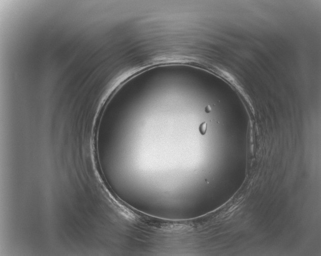 X0000060561187200511101555