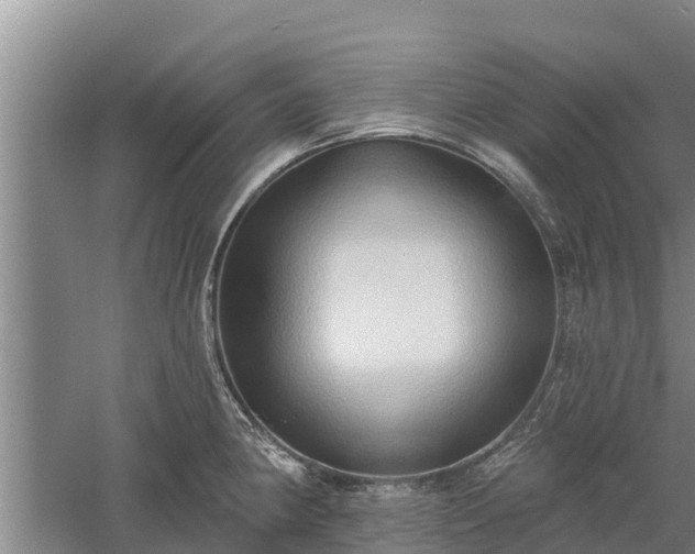 X0000060561190200511101555