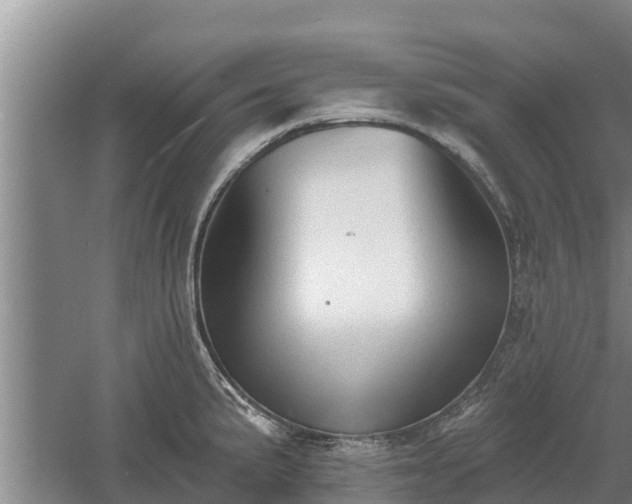 X0000060561191200511101555