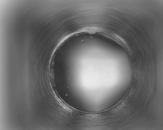 X0000060561192200511101555