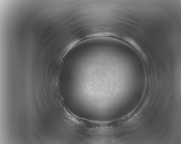 X0000060561193200511101555