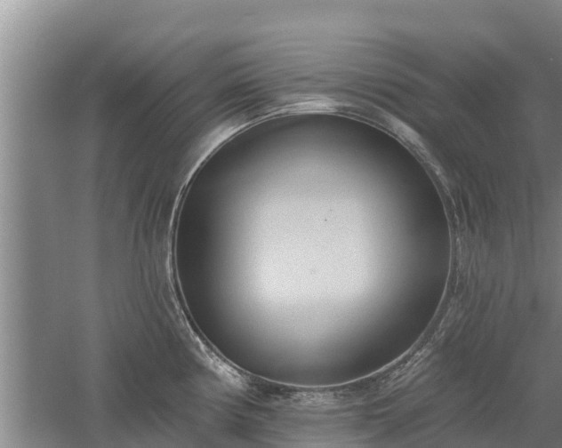 X0000060561194200511101555