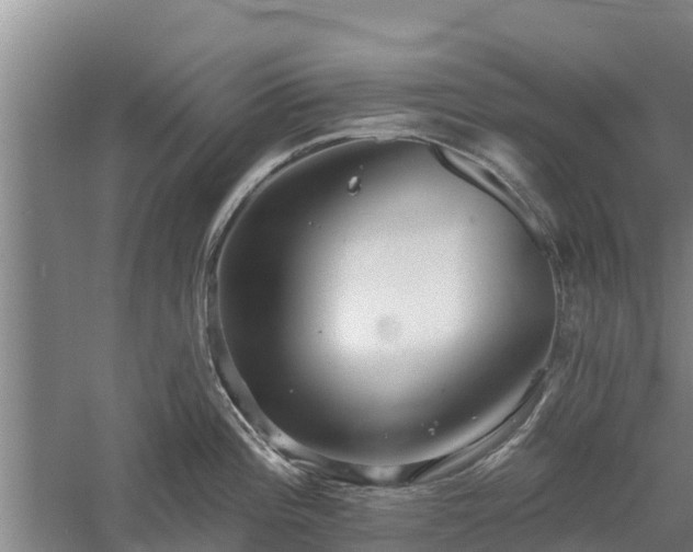 X0000060561196200511101555