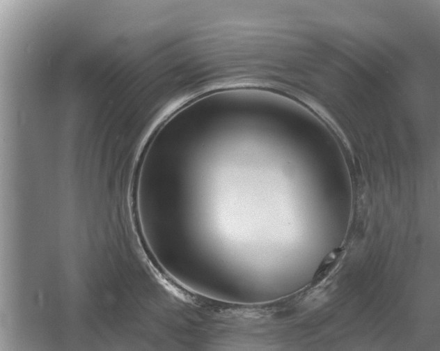 X0000060561197200511101555