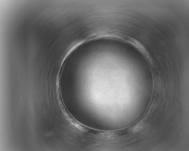 X0000060561198200511101555