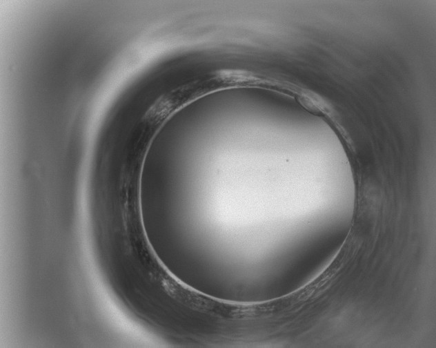 X0000060561199200511101555