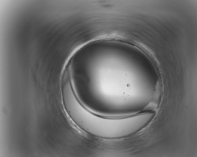 X0000060561200200511101555