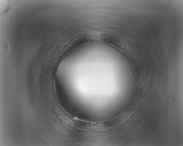 X0000060561201200511101554