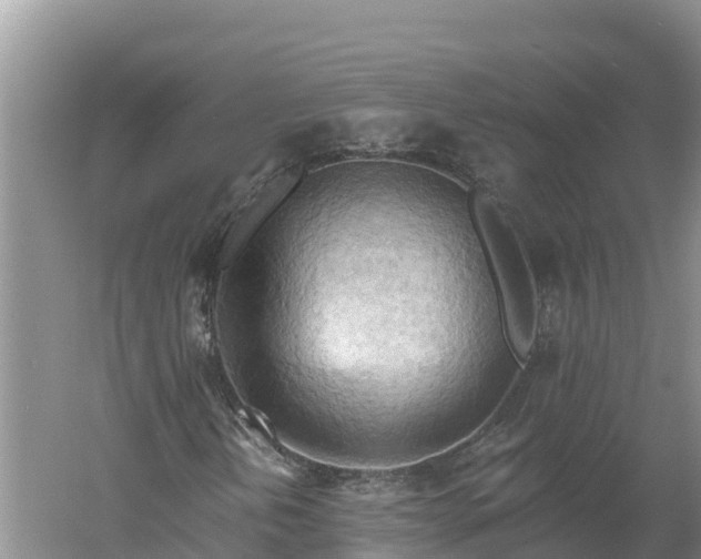 X0000060561202200511101554