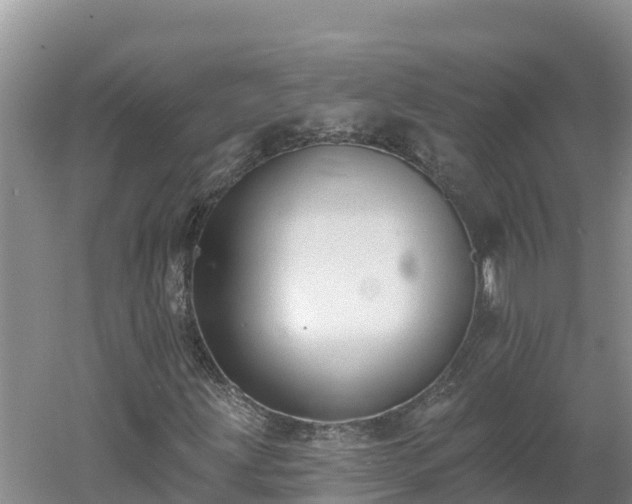 X0000060561203200511101554