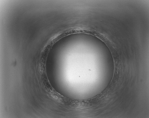 X0000060561207200511101554