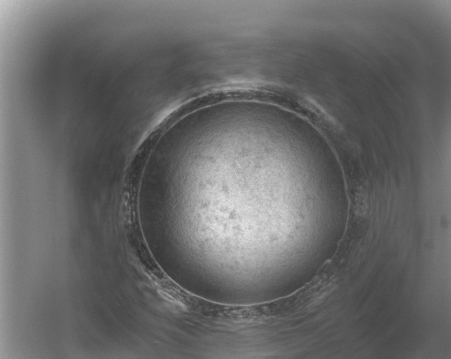 X0000060561208200511101554