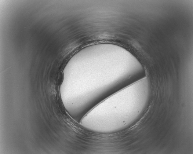 X0000060561209200511101554