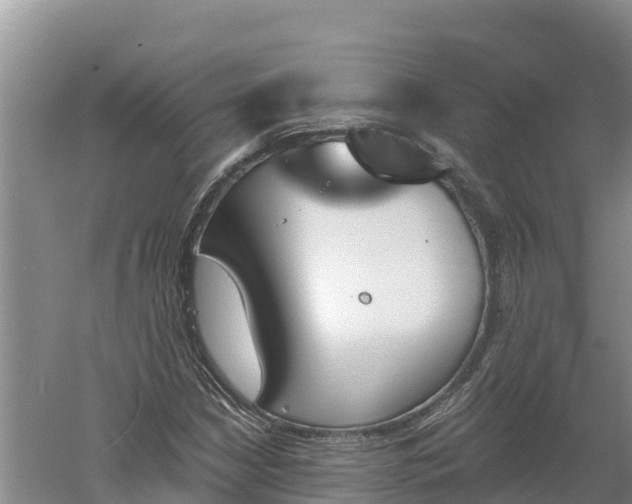 X0000060561210200511101554