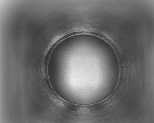 X0000060561215200511101554