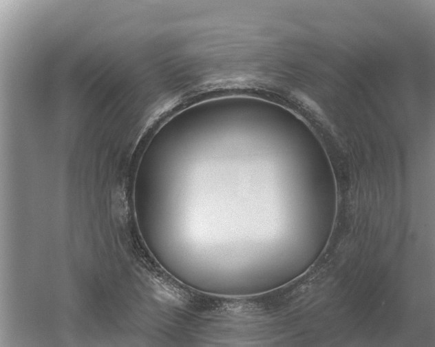 X0000060561218200511101555